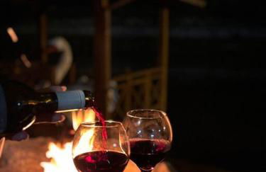 Casa de Campo - Águas Mornas SC - Photo 57