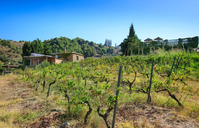 El Cerrillo - Cerro Negro - Photo 30