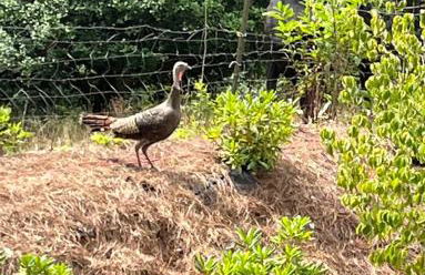 Lux Family Friendly Mountain Home - Foto 12