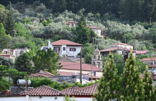 Art Flowers and Culture - Foto 5