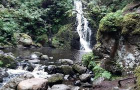 BergOase-Apart am Feldberg - Foto 65