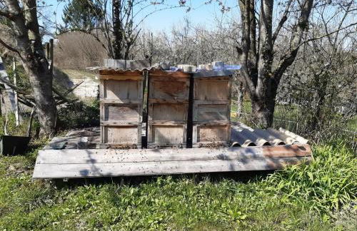 Rosenhof Broggingen - Foto 10