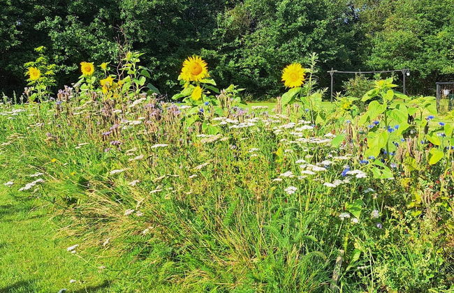 Idyllic Danish Farmhouse Retreat-by Traum - Foto 29