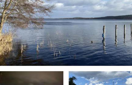 Ausspannen am Schwielowsee - Foto 23