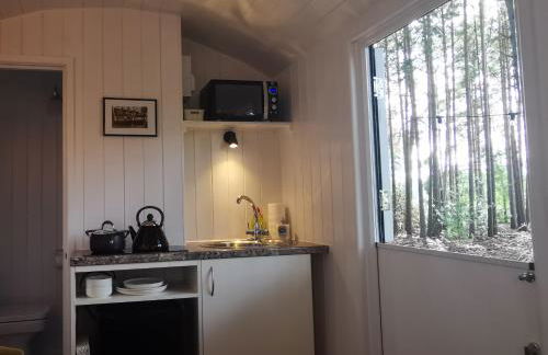 Forest Heath Shepherd's Huts - Foto 16