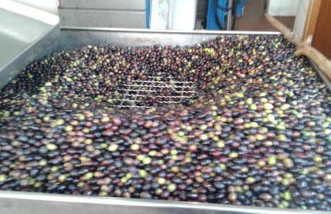 Agriturismo Mare e Monti - Foto 104