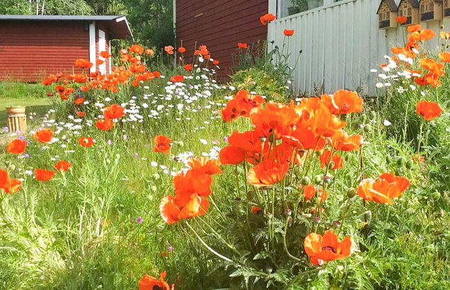 7 Person Holiday Home in Nassjo - Foto 37