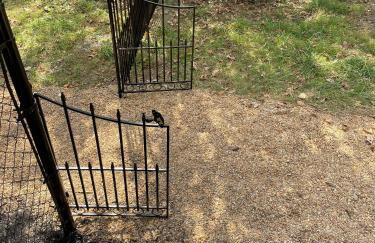 The Firefly Lodge at ShenandoahHot Tub~ View~Pets - Foto 6