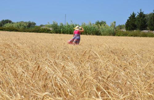 Masseria Vignenove - Foto 45