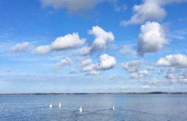 Breeger Boddenhuus - Foto 19