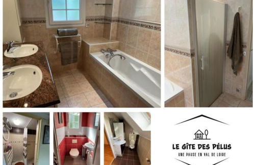 Le gîte des pélus - Photo 7