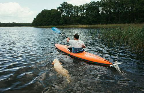 Feriendomizil Alter Garten - Photo 76