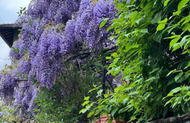 La Cà de Poz - Lake View - Foto 16