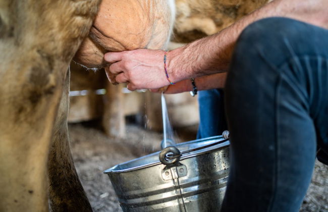 Agriturismo San Basilio - Foto 60