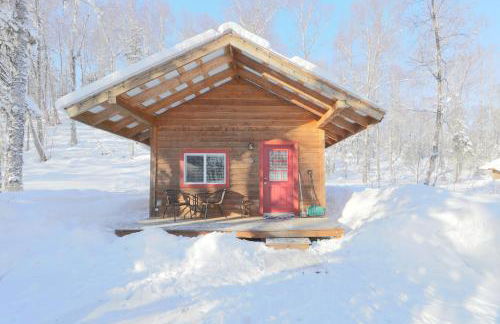 Spruce Cabin - Foto 7