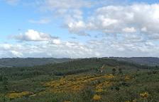 Monte Emitaj - Foto 18