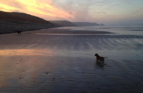 Harmon Vale - Photo 14