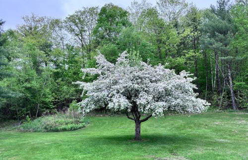 Cozy Retreat with Private Backyard Oasis - Foto 8