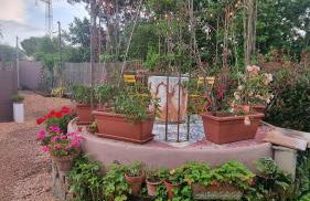 appartamento Margherita - Foto 14