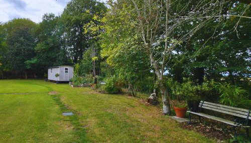 The Pheasant - Foto 5