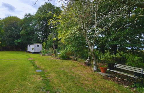 The Pheasant - Foto 5