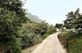 Condo in Seascape Beach Resort - Foto 4