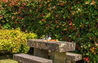 House Sopo - Foto 45