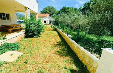 Green paradise - Photo 60