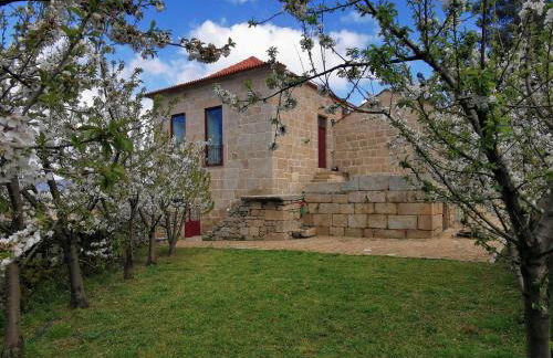 Solar dos Condes da Azenha - Foto 1