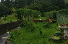 Casa do Vale Encantado - Photo 28