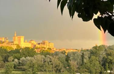 Charmante PETITE MAISON avec vue panoramique, en centre historique, proche d'Avignon, ancienne, rénovée, climatisée, terrasse, parking public gratuit - Foto 2