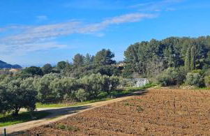 Studio 1 terrasse aperçu mer vignes - Foto 23