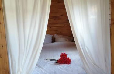 Roulotte et Jacuzzi de Rachel au Domaine du Reuze - Foto 9