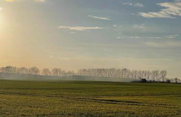 Sonnengelb - Fulgenhaus - Foto 18