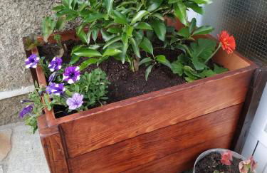 Casa dos ánxeles VUT-OR-1310 - Foto 68