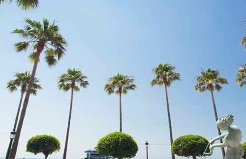 Matchroom Perla Roja 2 - Photo 37