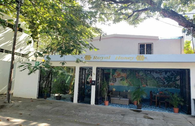 Royal Honey Hostel - Foto 24