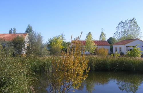 Quinta dos Trevos - Artes e Ofícios - Foto 29