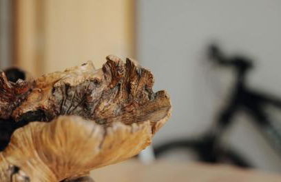 Casa Augusta - The Natural Lodgings And Retreats - Foto 3