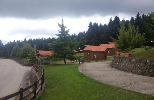 Livadaki Village - Δασικό Χωριό Λιβαδάκι - Foto 68