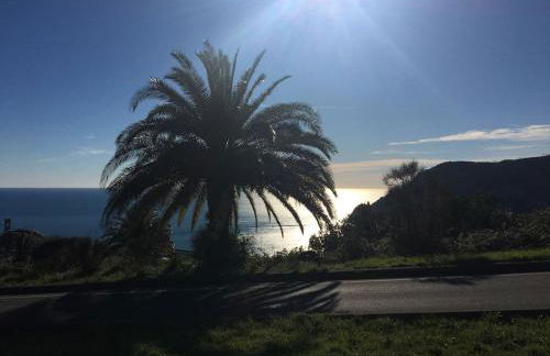 LA TERRAZZA DI MONTEROSSO - Photo 47