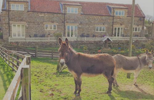 Meadowbeck Holiday Cottages - Photo 1