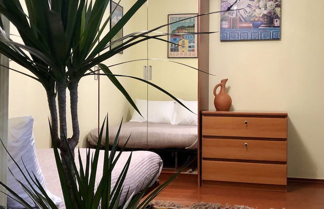 H&B apartments Pushkin - Foto 1