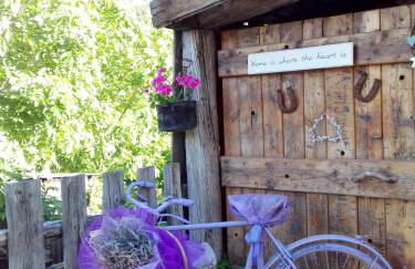 CleMaison Antica Dimora Apartments CIR VDA GIGNOD 0013 - Foto 45