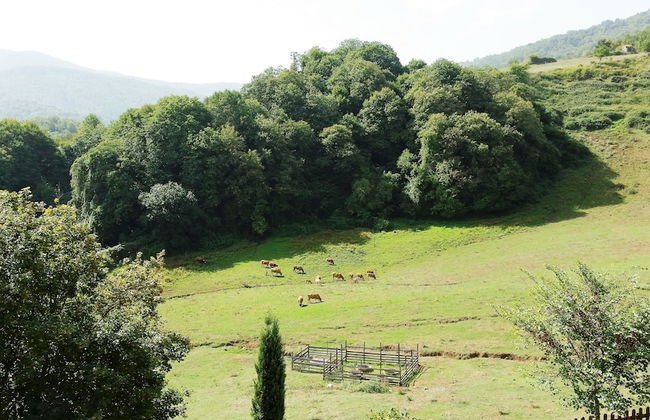 Agriturismo La Rocca dei Briganti - Foto 31