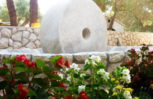 apartman MLIN 4 - Foto 1