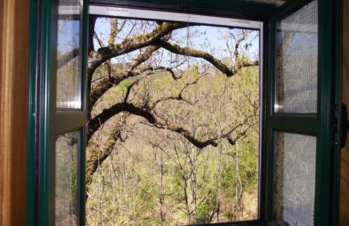 Charming House Terrace Amarante - Foto 59