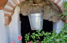 Giardino Dei Limoni Apartment - Foto 49