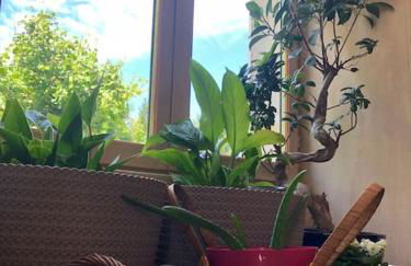 La maison Villecharny - Foto 44