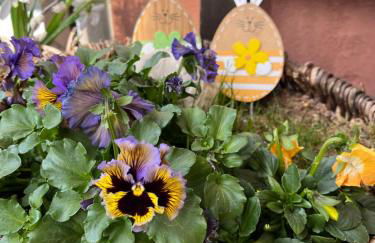 Ferienwohnung Am Anger - Foto 15